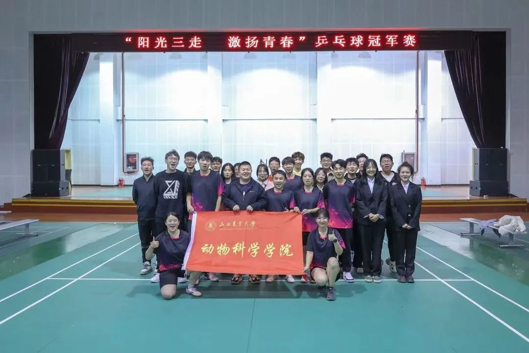 16CCD