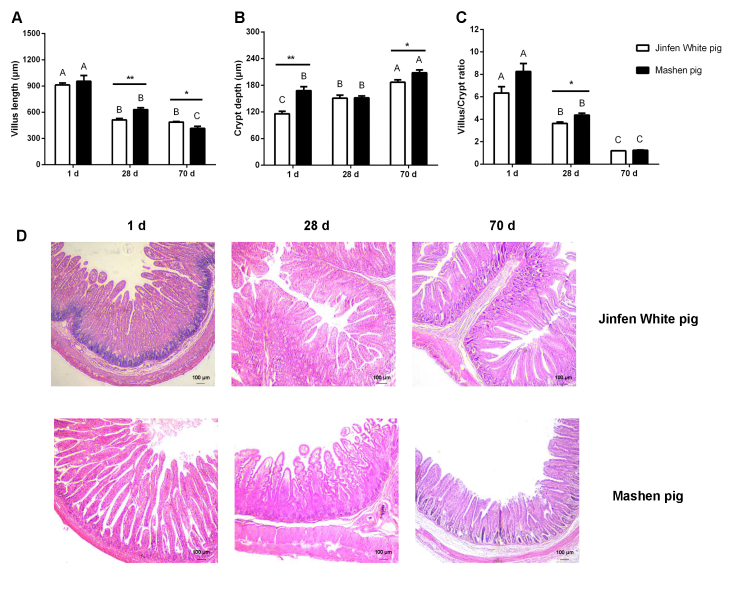 说明: F:\1.科研\文章1：回肠肠道微生物16SrRNA\杂志社修改意见\图片\Figure 1.tif